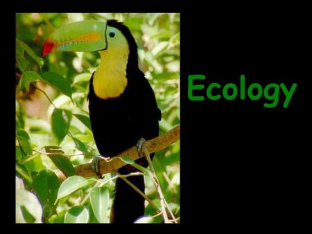 Ecology.