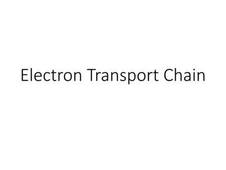 Electron Transport Chain