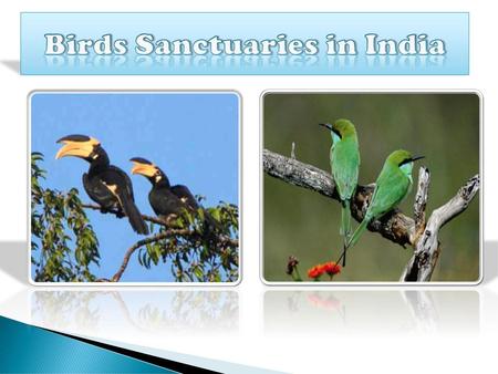 Birds Sanctuaries in India