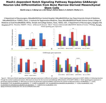 Mash1-dependent Notch Signaling Pathway Regulates GABAergic Neuron-Like Differentiation from Bone Marrow-Derived Mesenchymal Stem Cells Qianfa Long 1,