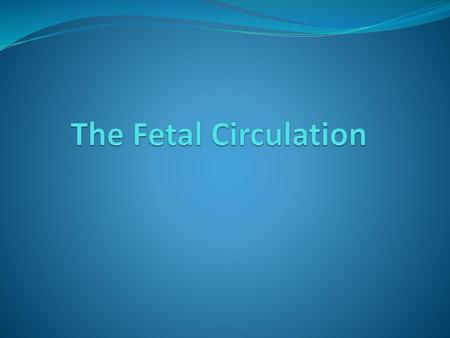 The Fetal Circulation.