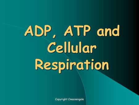 ADP, ATP and Cellular Respiration