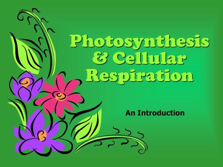 Photosynthesis & Cellular Respiration An Introduction