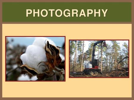 Photography Interest Approach: Show student the two pictures at the beginning of the PowerPoint and ask them to choose which photos they like better. Talk.