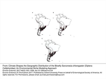 Fig. 1. (A) Final distribution of S