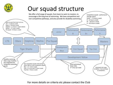 Our squad structure Competitive squads – performance and age criteria