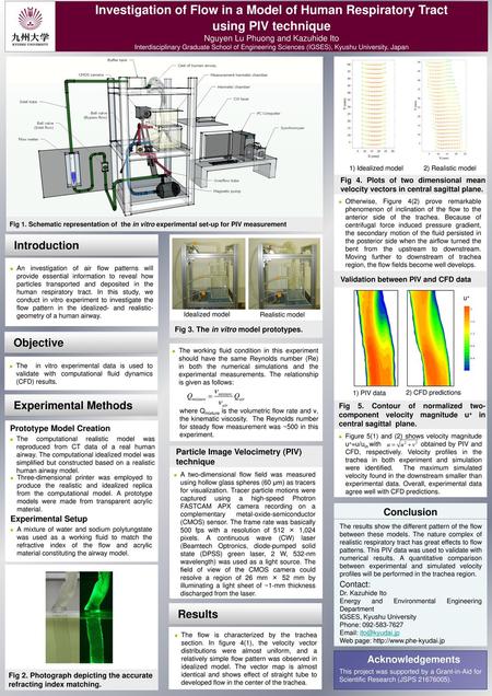 Investigation of Flow in a Model of Human Respiratory Tract