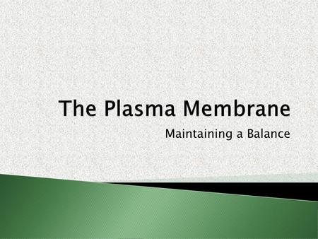 The Plasma Membrane Maintaining a Balance.