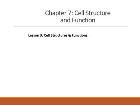 Chapter 7: Cell Structure and Function