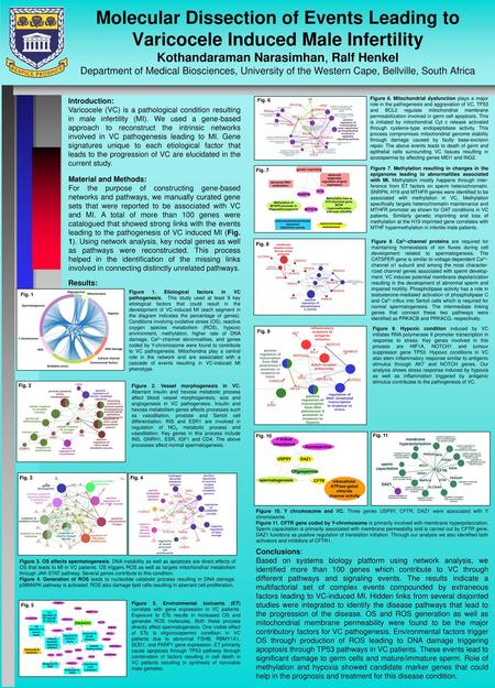 Molecular Dissection of Events Leading to Varicocele Induced Male Infertility Kothandaraman Narasimhan, Ralf Henkel Department of Medical Biosciences,