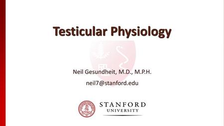 Testicular Physiology