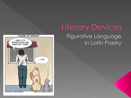 Figurative Language in Latin Poetry