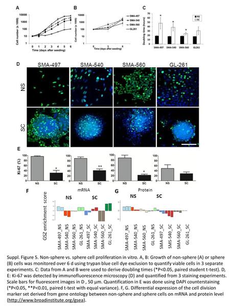 Suppl. Figure 5. Non-sphere vs. sphere cell proliferation in vitro