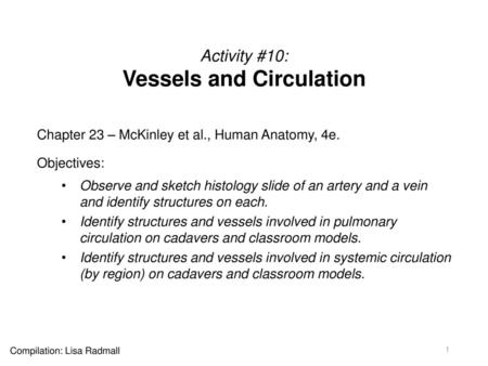 Activity #10: Vessels and Circulation