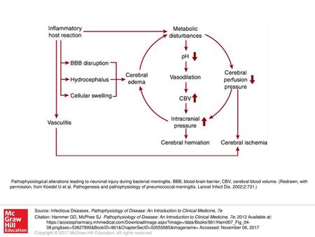 Pathophysiological alterations leading to neuronal injury during bacterial meningitis. BBB, blood-brain barrier; CBV, cerebral blood volume. (Redrawn,