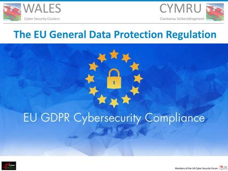 The EU General Data Protection Regulation