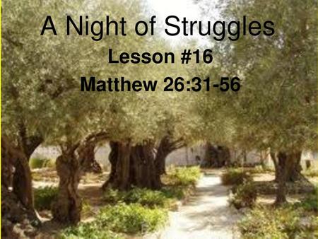 A Night of Struggles Lesson #16 Matthew 26:31-56.