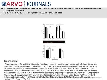 From: Mitochondrial Dynamics Regulate Growth Cone Motility, Guidance, and Neurite Growth Rate in Perinatal Retinal Ganglion Cells In Vitro Invest. Ophthalmol.