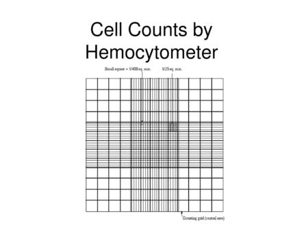 Cell Counts by Hemocytometer