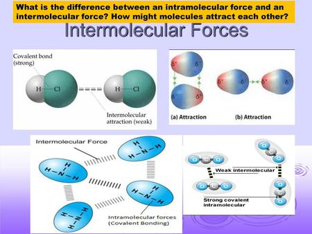 Intermolecular Forces