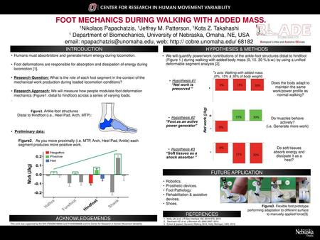 FOOT MECHANICS DURING WALKING WITH ADDED MASS.