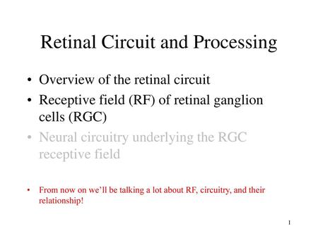 Retinal Circuit and Processing