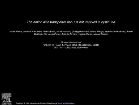 The amino acid transporter asc-1 is not involved in cystinuria