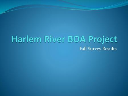 Harlem River BOA Project