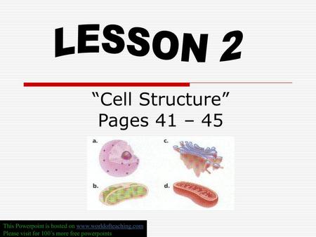 “Cell Structure” Pages 41 – 45