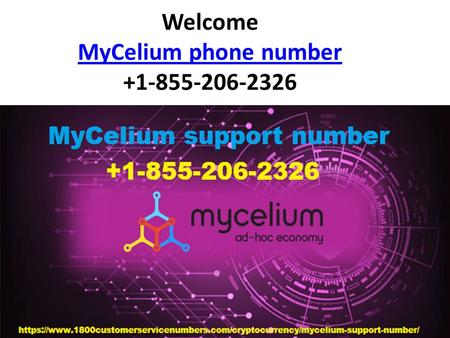 Welcome MyCelium phone number MyCelium phone number.