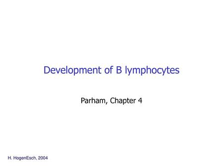 Development of B lymphocytes