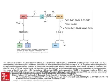 Two pathways for toxication of superoxide anion radical (O2•-) via nonradical products (ONOO- and HOOH) to radical products (•NO2, CO3•-, and HO•). In.