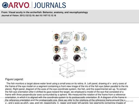 Journal of Vision. 2012;12(12):18. doi: / Figure Legend: