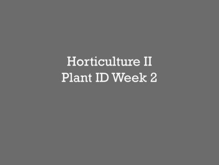 Horticulture II Plant ID Week 2