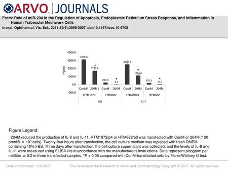 From: Role of miR-204 in the Regulation of Apoptosis, Endoplasmic Reticulum Stress Response, and Inflammation in Human Trabecular Meshwork Cells Invest.