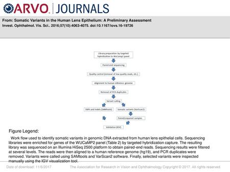 Invest. Ophthalmol. Vis. Sci ;57(10): doi: /iovs Figure Legend: