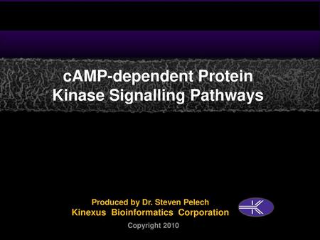 cAMP-dependent Protein Kinase Signalling Pathways