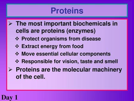 Proteins The most important biochemicals in cells are proteins (enzymes) Protect organisms from disease Extract energy from food Move essential cellular.