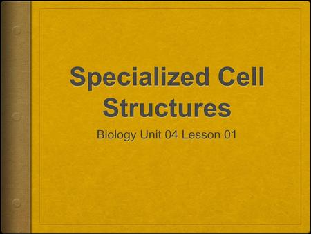 Specialized Cell Structures