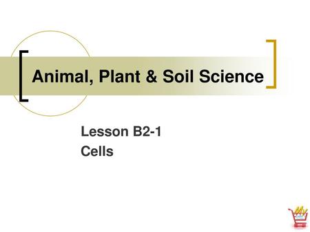 Animal, Plant & Soil Science