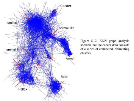 Luminal A normal-like Figure S12: KNN graph analysis showed that the cancer data consists of a series of connected, bifurcating clusters. luminal B normal.