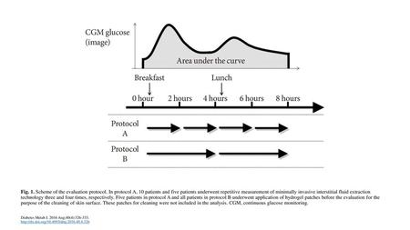 Fig. 1. Scheme of the evaluation protocol