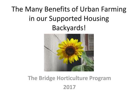 The Many Benefits of Urban Farming in our Supported Housing Backyards!