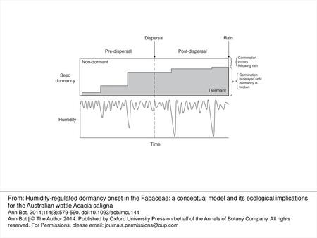 Fig. 1. Conceptual model of seed bank input as a function of humidity-regulated dormancy onset under variable weather conditions. We hypothesize that there.