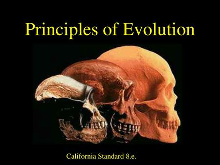 Principles of Evolution