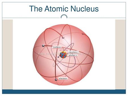 The Atomic Nucleus.