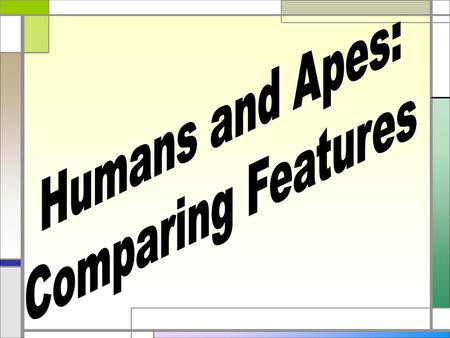 Humans and Apes: Comparing Features.