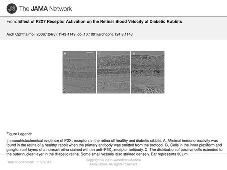 Copyright © 2006 American Medical Association. All rights reserved.