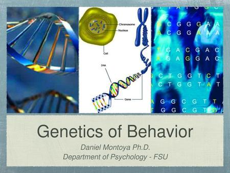 Department of Psychology - FSU