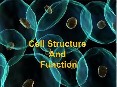 Cell Structure And Function.